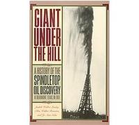 Giant Under The Hill Ellen Walker Rienstra, Jo Ann Stiles (Auteur)