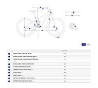 Giant Vtt Arx 24´´ Altus Rd-m310 2025