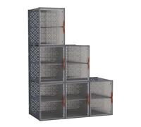GIANTEX Lot de 6 boîtes à chaussures, boîtes transparentes empilables avec portes magnétiques pour jusqu'à 12 paires de chaussures, plateaux pour chaussures, organisateur modulable peu encombrant pour