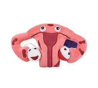 GIANTmicrobes Peluche Endométriose