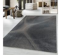 Giantore Tapis à Poils Courts 3D à Poils Plats pour Salon, Chambre à Coucher