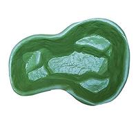 Giardini D'Acqua Laghetto Pot Vert de Jardin modèle Brassard pour Poissons et Plantes 136 x 100 capacité 220 litres préformé