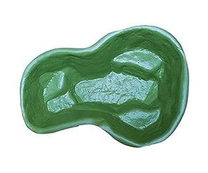 Giardini D'Acqua Laghetto Pot Vert de Jardin modèle Brassard pour Poissons et Plantes 136 x 100 capacité 220 litres préformé