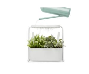 Giardino Pot à base de plantes Umbra OFFRE SPECIALE - 028295556255