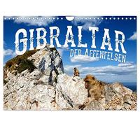 Gibraltar - der Affenfelsen (Wandkalender 2026 DIN A4 quer), CALVENDO Monatskalender: Europas einzige wildlebende Affen in einer atemberaubenden Landschaft