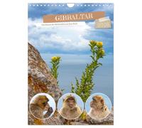 Gibraltar - Die Heimat der Berberaffen auf dem Rock (Wandkalender 2026 DIN A4 hoch), CALVENDO Monatskalender: Eine unvergessliche Reise in die Welt der Berberaffen auf Gibraltar