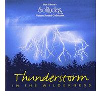 Gibson, Dan - Thunderstorm in the Wilderness