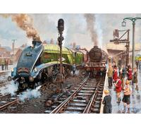 GIBSONS Doncaster Bystander Puzzle 1000 pièces