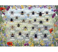 GIBSONS Puzzle Abeilles brillantes 1000 pièces