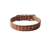 GIBZ Collier de Chien en Cuir, Réglable avec Rembourré Doux, Colliers Durable et Classique de Petits Moyens Grands Chiot Chat, Marron, 1.5 x 30 cm