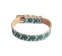GIBZ Collier pour Chien en Cuir, Réglable et Rembourré Doux, Colliers Ajustable Durable pour Chiot de Petits Moyens et Grands, Vert, 1.5 x 30 cm