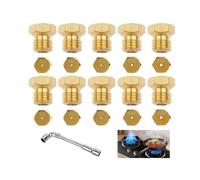 Gicleur Gaz Butane, 10Pcs Gicleur Gaz Bouteille,Gicleur Gaz de Ville,2×0.5mm,2×0.7mm,2×0.87mm,2×1.02mm,Gicleur Plaque