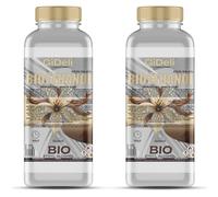 GiDeli bioéthanol 2 x 1 l Parfum vanille 96,6 % éthanol pour cheminées intérieures et extérieures Sans fumée ni suie - Fabriqué à partir de maïs & betterave à sucre