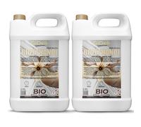 GiDeli Bioéthanol 2 x 5 l Parfum vanille 96,6 % éthanol pour cheminée intérieure et extérieure Sans fumée ni suie Fabriqué à partir de maïs et de betterave sucrière
