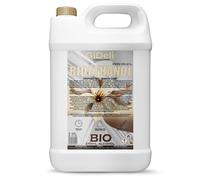 GiDeli Bioéthanol 5 l Parfum vanille 96,6 % éthanol pour cheminée intérieure et extérieure Sans fumée ni suie Fabriqué à partir de maïs et de betteraves sucrières