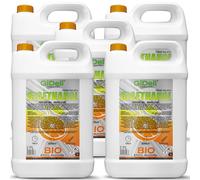 GiDeli Bioéthanol 5 x 5 l Parfum orange 96,6 % éthanol pour cheminée intérieure et extérieure Sans fumée ni suie Fabriqué à partir de maïs et de betteraves sucrières