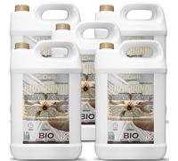 GiDeli Bioéthanol 5 x 5 l Parfum vanille 96,6 % éthanol pour cheminée intérieure et extérieure Sans fumée ni suie Fabriqué à partir de maïs et de betterave sucrière