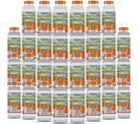 GiDeli Bioéthanol Lot de 30 x 1 l Parfum orange 96,6 % éthanol pour cheminée intérieure et extérieure Sans fumée ni suie À base de maïs et de betterave sucrière