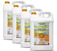 GiDeli Bioéthanol Lot de 4 x 5 l Parfum orange 96,6 % éthanol pour cheminée intérieure et extérieure Sans fumée ni suie Fabriqué à partir de maïs et de betteraves sucrières