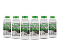 GiDeli Bioéthanol Lot de 6 bio-éthanol Parfum forêt 96,6 % éthanol pour intérieur et extérieur Sans fumée ni suie Fabriqué à partir de maïs et de betterave sucrière