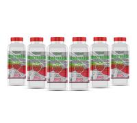 GiDeli Bioéthanol Lot de 6 x 1 l Parfum fraise des bois 96,6 % éthanol pour intérieur et extérieur Sans fumée ni suie À base de maïs et de betterave sucrière