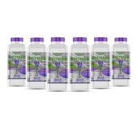 GiDeli Bioéthanol Lot de 6 x 1 l parfum lavande 96,6 % éthanol pour cheminée intérieure et extérieure Sans fumée ni suie Fabriqué à partir de maïs et de betteraves sucrières