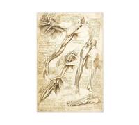 GIEIG Impression sur toile Studies Of The Human Body - Muscles of the Arm And Foot by Leonardo Da Vinci - Impression sur toile pour chambre d'adolescent garçon