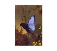 GIEIG Martin Johnson Heade - Impression sur toile motif papillon Morpho bleu, décoration murale moderne, sans cadre, 40 x 60 cm