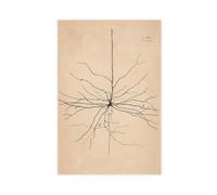 GIEIG Pyramida Neurone Dessin From Santiago Ramón Y Cajal Poster pour chambre Esthétique Impression sur toile sans cadre 30 x 45 cm