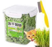 Gienslru Berdexa Cat Grass Teething Stick, Cat Grass Sticks for Indoor Cats, Cat Grass Teething Stick Hairballs for Hairball Removal,Cadental Care, Increase Appetite (1 Bucket)