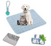 Gienslru Cooling Mat Dog, Non-Slip and Durable Dog Cooling Mat Pad, Washable Soft Kennel Pads, Foldable Cooling Mat, Dogs, Cats for Summer (Light Blue, M)