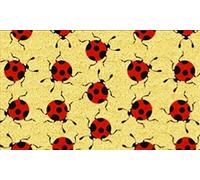 GIFT Company Coccinelles Paillasson en Fibres de Coco Couleur 75 X 2 X 45 cm