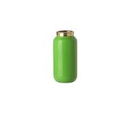 Gift Company Saigon Mini vase avec anneau en métal (H 9,5 cm) Vert/doré 4,6 x 9,5 x 4,6 cm