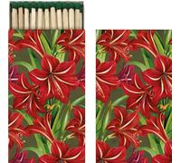 Gift Matches Red Christmas Flowers Amaryllis