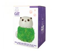 Gift Republic Chaton Chia - 1 pcs