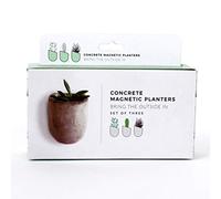 Gift Republic Mini jardinières Béton magnétiques 4x4x6 cm Intérieur