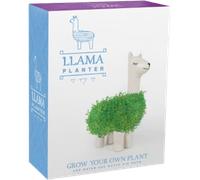 Gift Republic Green Lama - 1 pcs