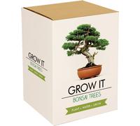 Gift Republic Grow It - Bonsaïs - 1 kit