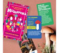 Gift Republic - Lot de cartes The Wonderful World of Champignons