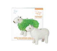 Gift Republic Pot de Fleurs Chia en céramique, Blanc, Taille M