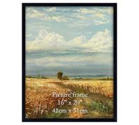 Giftgarden Cadre 40x50 cm Noir, Cadre Photo Poster 50x40 cm en PVC, pour œuvres d'art, Affiches, Certificats et Albums de Famille - 1 Pièces, pour Montage Mural Uniquement