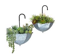 GIFTME 5 Lot de 2 Supports muraux en métal galvanisé pour Plantes Grasses d'intérieur ou d'extérieur