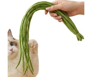 gifyym interactifs pour chats, réalistes, doux et amusants | Jouet stimulant pour chat | Pour l'occupation, le jeu, le mouvement, la stimulation mentale contre l'ennui des chatons et chiots