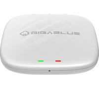 GigaBlue CarPlay AI Box Android 13 TV (UHD 4K, Apple CarPlay, Android Auto, Chromecast, Google Play)