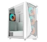 GIGABYTE C301G Blanc V2