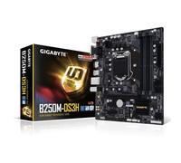 Gigabyte Carte mère GA-B250M-DS3H - Socket LGA 1151 - DDR4 - 2400 Hz - 64 Go