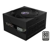 AORUS ELITE AE1000PM PG5 - Alimentation électrique (interne) - ATX12V 3.0/ EPS12V - 80 PLUS Platinum - CA 100-240 V - 1000 Watt - PFC active