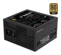 GIGABYTE Alimentation 750W P750GM Modulaire 80+ Gold