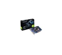 Gigabyte GV-N730D3-2GI GeForce GT 730 2 Go DDR3 Low Profile DVI-D et HDMI