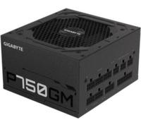 Gigabyte P750GM - Adaptateur secteur (interne) - ATX12V 2.31
